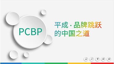 金正品牌战略案