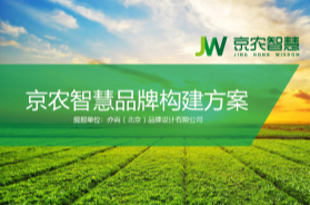 京农智慧品牌构建方案